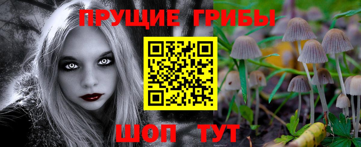 Псилоцибиновые грибы мухоморы  Вход с VPN  дарнет шоп  Новоуральск 